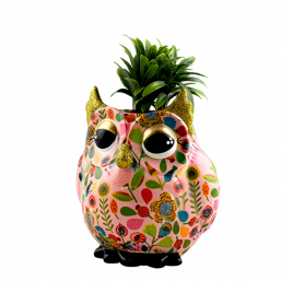 148-00697A γλαστράκι γλαστρακι γλάστρα γλαστρα διακοσμητικός διακοσμητικος Κεραμικός κεραμικος pomme pidou